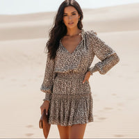 Mini Dress Leopard Print Long Sleeve V-Neck Empire Waist